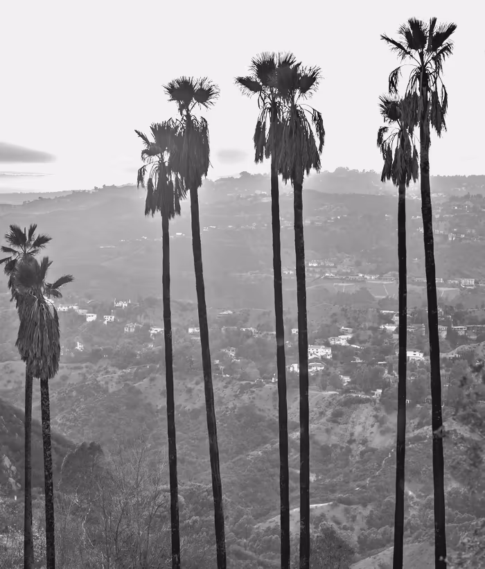 The Los Angeles basin seen from Griffith Park.